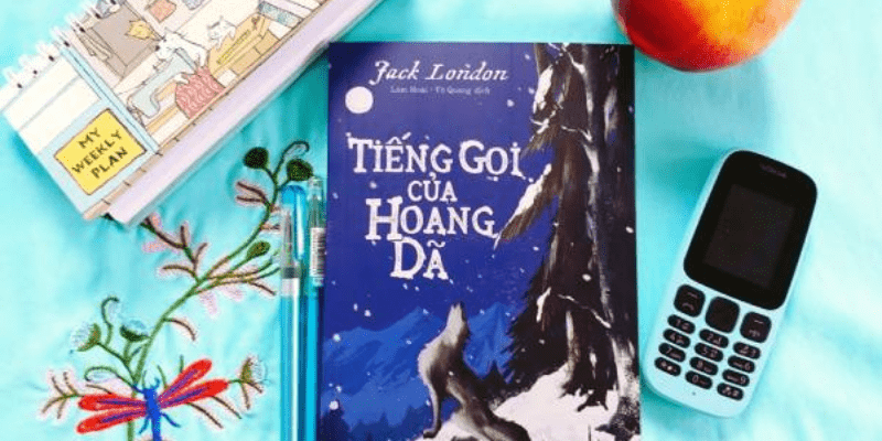 Review sách tiếng gọi nơi hoang dã: Những khía cạnh làm nên sức hút